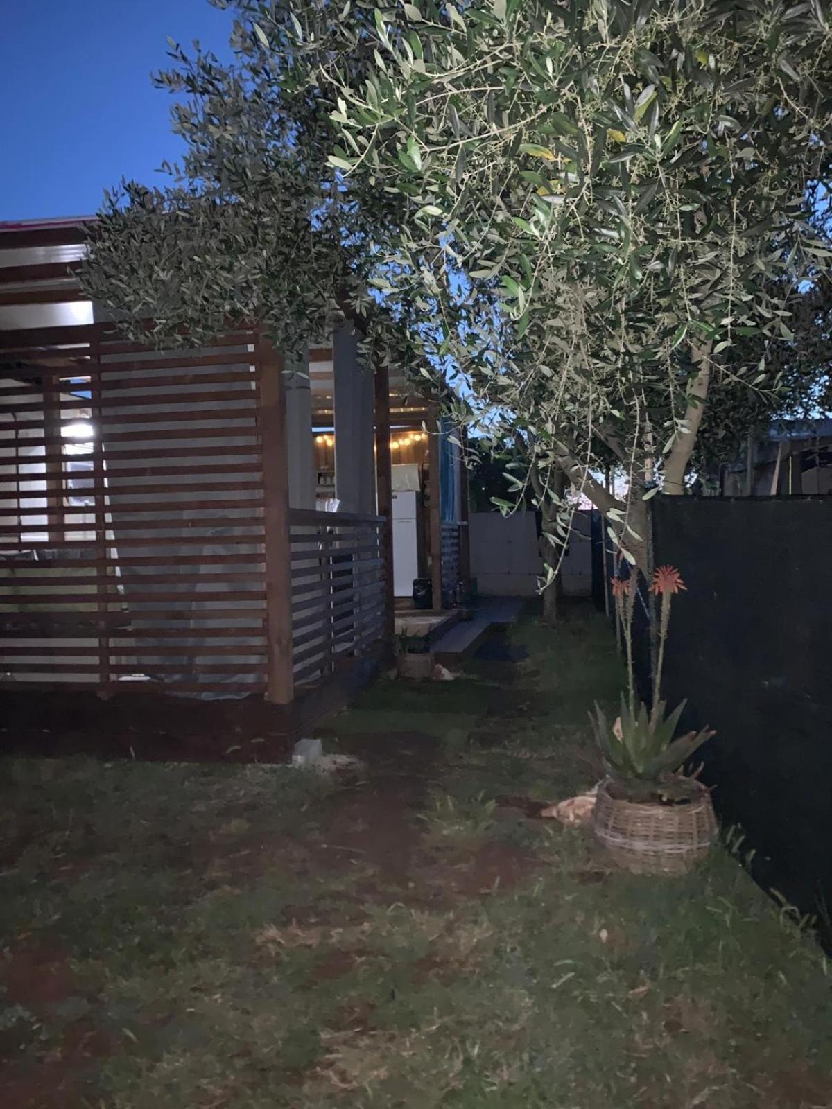 Large Camper In The Olive Grove Hotel Banjole Exterior photo